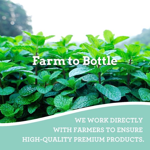 Guru Nanda - Peppermint Essential Oil Value Size - Picture 8 of 8